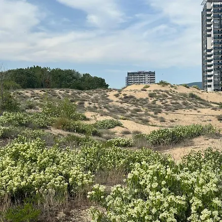 Sunny View Cacao Apartamento Sunny Beach