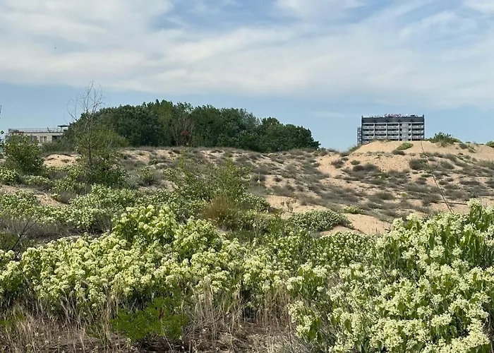 Apartment Sunny View Cacao Sunny Beach
