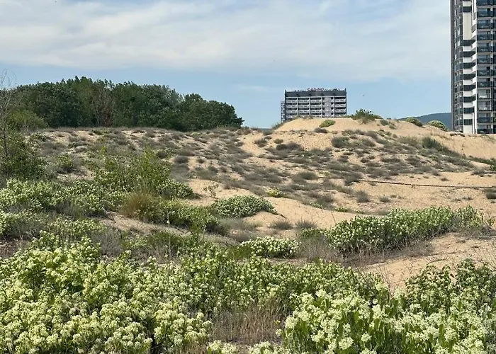 Sunny View Cacao Apartment Sunny Beach