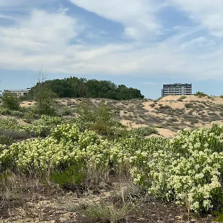 Апартаменты Sunny View Cacao Солнечный берег