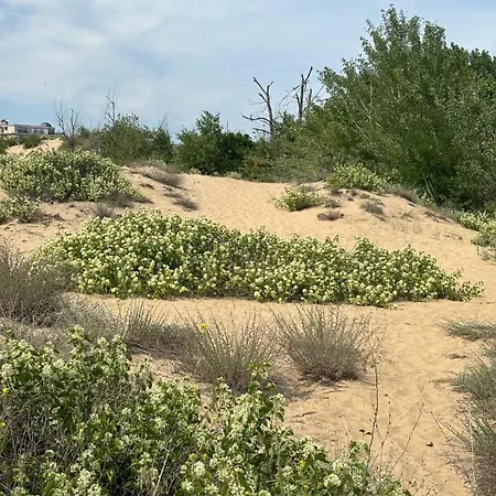Sunny View Cacao Солнечный берег
