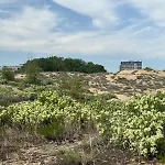 Apartamento Sunny View Cacao Sunny Beach