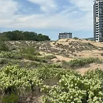 Sunny View Cacao Apartamento Sunny Beach