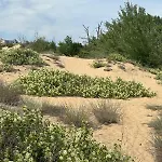 Sunny View Cacao Sunny Beach